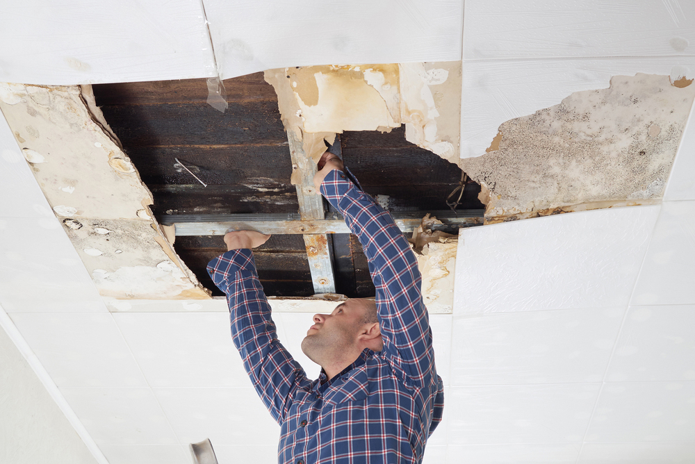 San Diego's Most Common Causes of Water Damage RAMM