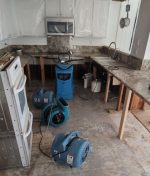 Flood in Your Home? Your Essential Guide to Water Damage Restoration