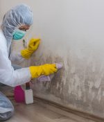What Are the Risks of DIY Mold Removal?