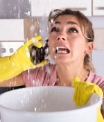 How Can Dehumidifiers Help Prevent Mold After Water Damage?