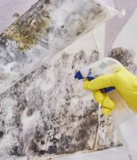 What Should You Avoid When Trying to Clean Mold on Your Own?