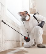 What Is the Role of Air Scrubbers in Mold Remediation?