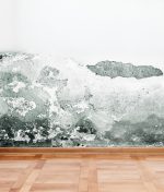 What Should You Do to Prevent Mold in High-Humidity Areas of Your Home?