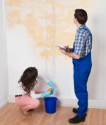 How Does Mold Growth Impact Property Value, and What Can You Do About It?
