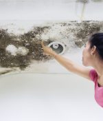What Are the Most Overlooked Sources of Water Damage in Homes?