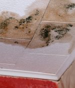 How to Spot Water Damage in Ceilings Before It Gets Worse