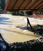 Understanding the Difference Between Flood Damage and Water Damage