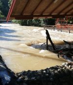 Understanding the Difference Between Flood Damage and Water Damage