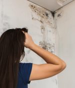 What San Diego Tenants Should Do About Suspected Water Damage in Rentals