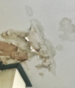 How to Choose the Best Water Damage Restoration Company in San Diego